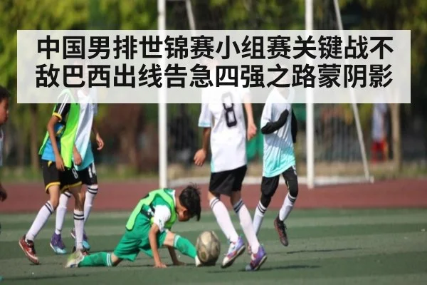 中国男排世锦赛小组赛关键战不敌巴西出线告急四强之路蒙阴影 - kaiyun